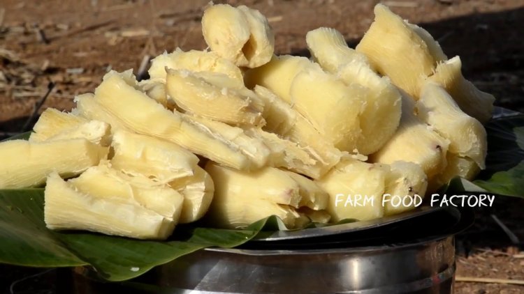 Without Oil Snack Maravalli Kilangu or How to Cook Maravalli Kilangu or Tapiaco or Yucca Root